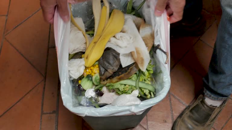 Best Same-Day Junk Removal Services  in Dudley, NC